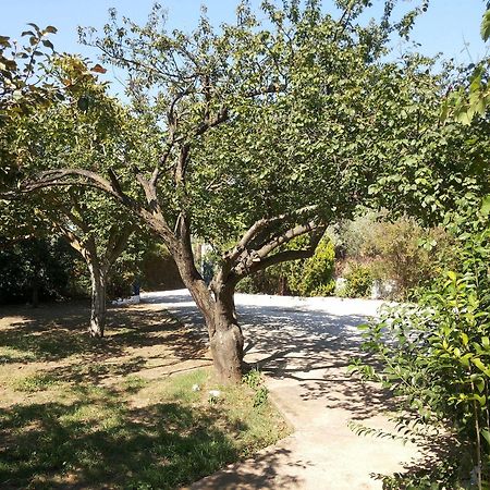 Rastoni Guest House Skopelos Εξωτερικό φωτογραφία